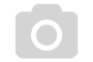 Акумулятор Konica Minolta NP-900 (900 mAh, 3.7V, Li-Ion)