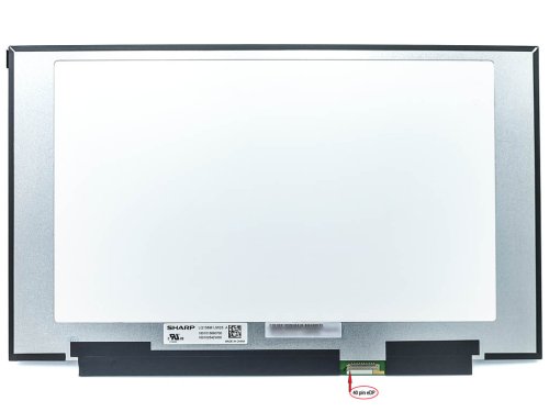 Матриця Sharp LQ156M1JW25 15.6" IPS FHD 300Hz eDP 40pin Slim матова без кріплень 351мм