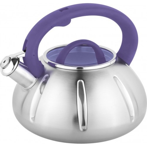 Чайник Unique UN-5303 3 л з нержавіючої сталі з нейлоновою ручкою та свистком