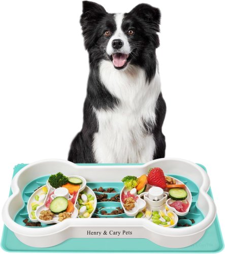 Миска-кiсточка Henry & Cary з дозатором і силіконовим килимком для повільного годування собак