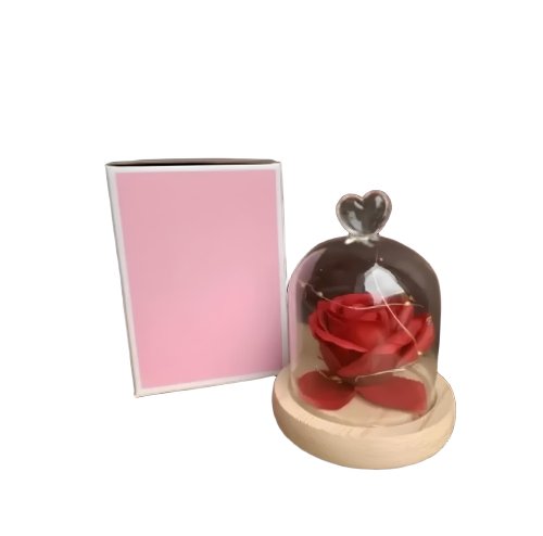 Бутон троянди в колбі під куполом — романтичний подарунок і стильний декор