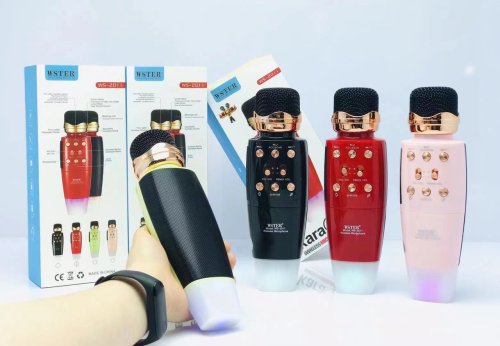 Бездротовий караоке-мікрофон WSTER WS-2011 4-в-1: колонка, Powerbank, запис, зміна голосу, FM, BT, USB, microSD