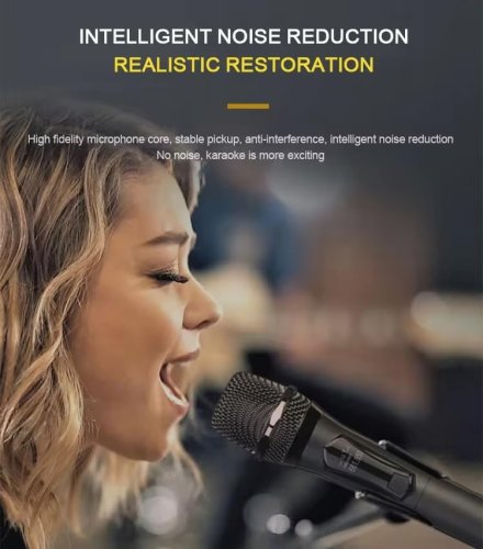 Бездротовий UHF мікрофон TTD‑M10 для караоке (1 мікрофон)