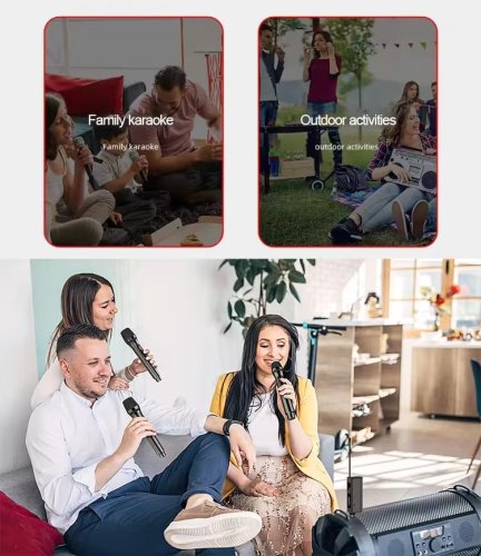 Бездротовий UHF мікрофон TTD‑M10 для караоке (1 мікрофон)