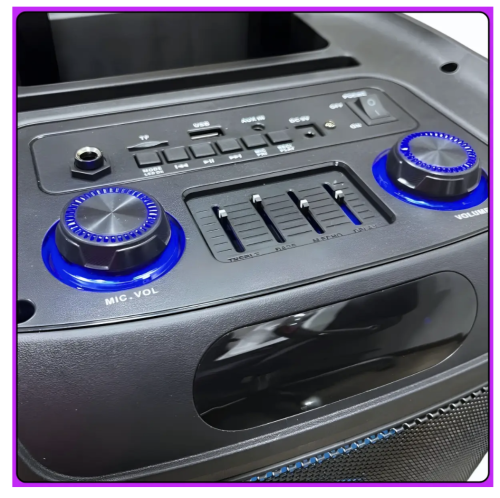 Портативна Bluetooth колонка TTD-1209 12″ з 2 мікрофонами та пультом ДК (Wireless Speaker)