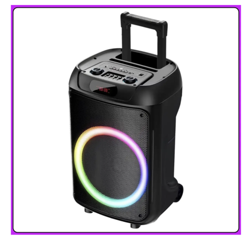 Портативна Bluetooth колонка TTD-1209 12″ з 2 мікрофонами та пультом ДК (Wireless Speaker)