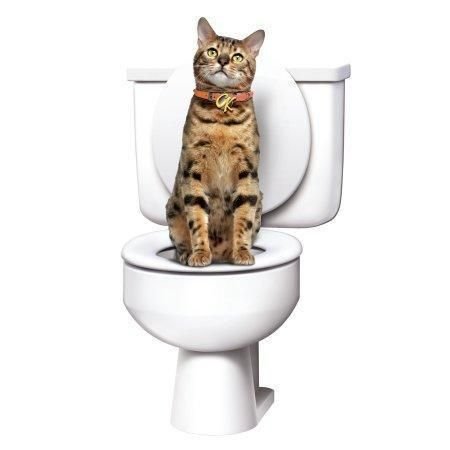 Система привчання кота до унітазу Citi Kitty — тренажер-туалет для котів Cat Toilet Training