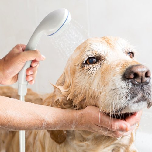 Портативний кемпінговий душ з USB-помпою та акумулятором для туризму й миття авто