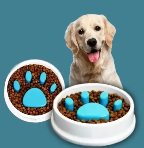 Годівниця-миска Paw Perfect Slow Feeder для повільного годування котів і собак