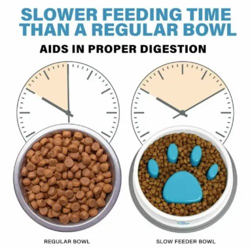 Годівниця-миска Paw Perfect Slow Feeder для повільного годування котів і собак