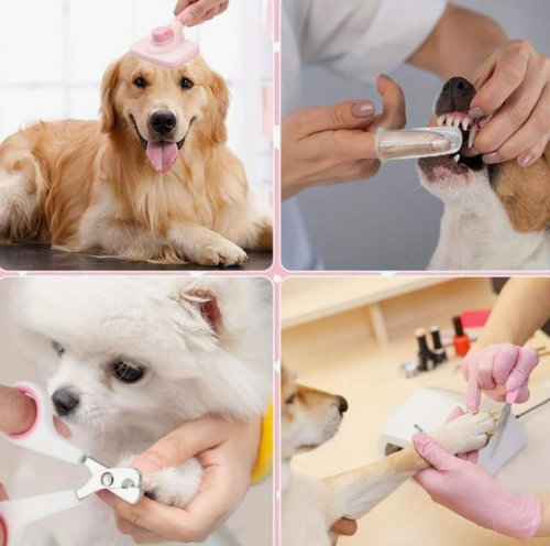 Набір для грумінгу домашніх тварин 6-в-1 — інструменти догляду за шерстю та кігтями