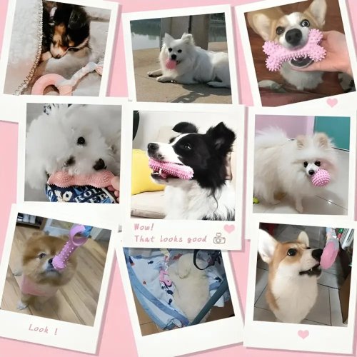 Іграшковий набір для собак 6-в-1: яскраві безпечні іграшки для активних ігор та розвитку