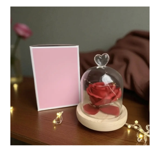 Бутон троянди в колбі під куполом — романтичний подарунок і стильний декор
