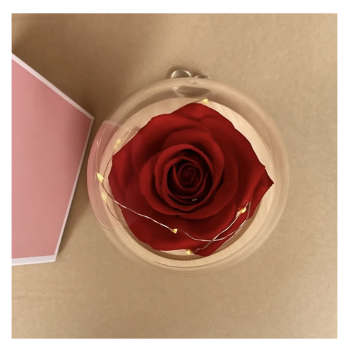 Бутон троянди в колбі під куполом — романтичний подарунок і стильний декор